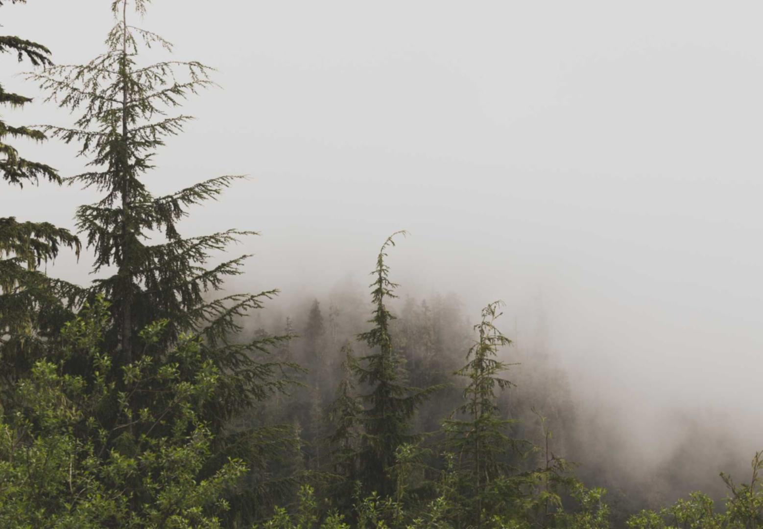 【程序搭建】TG人形机器人|PagerMaid-Pyro搭建星光剧场