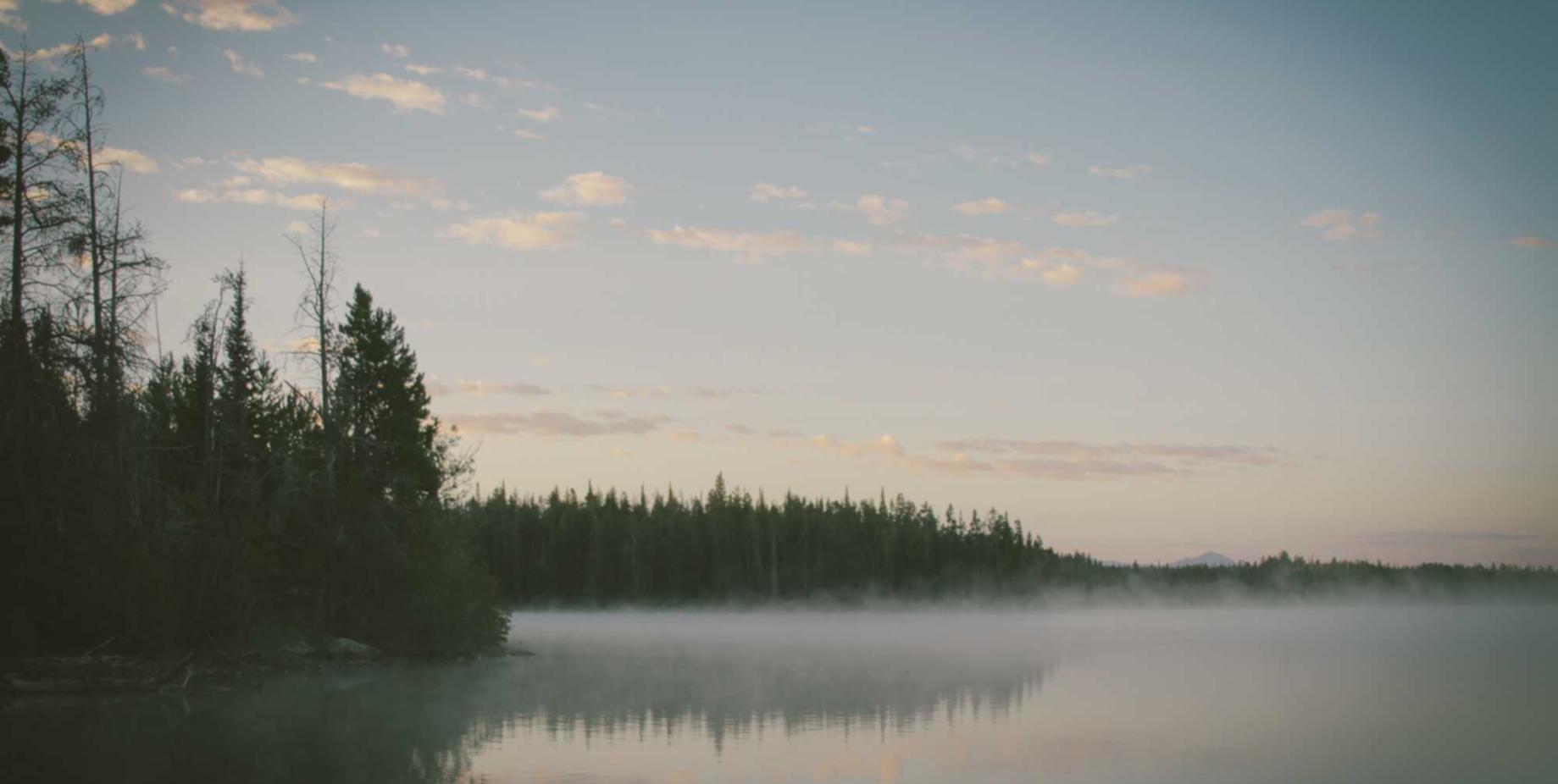 辅助大全购买平台