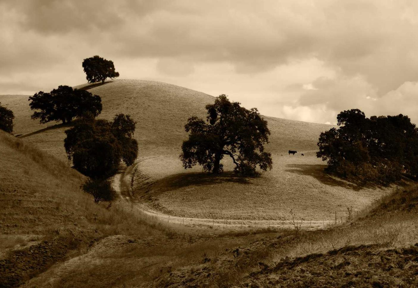 菲娱3妖气漫画网app详情下载教程