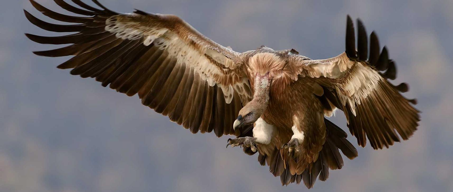 香烟成瘾的五大原因