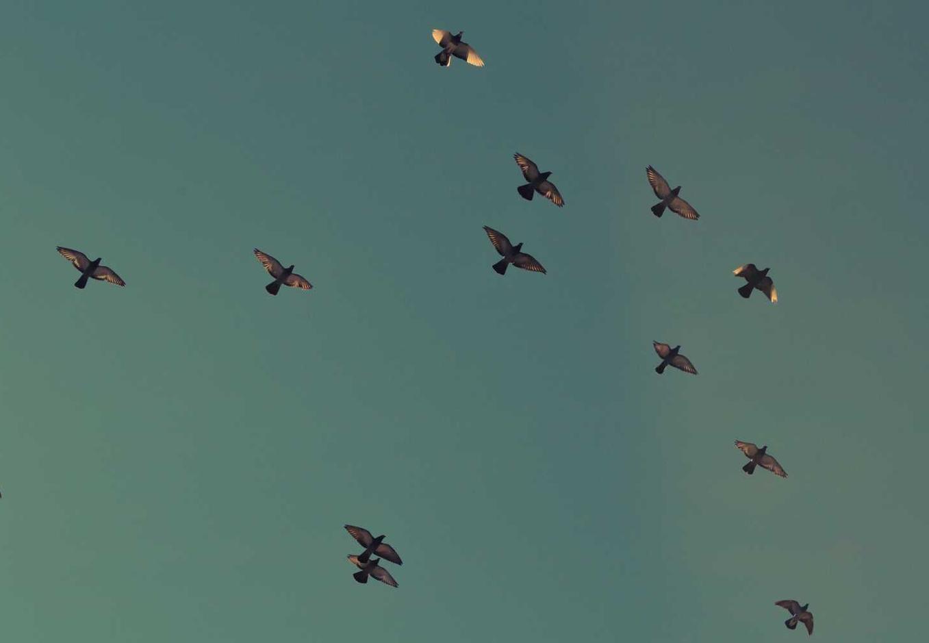 DNS DDOS攻击的前景与趋势:不容忽视的网络安全威胁