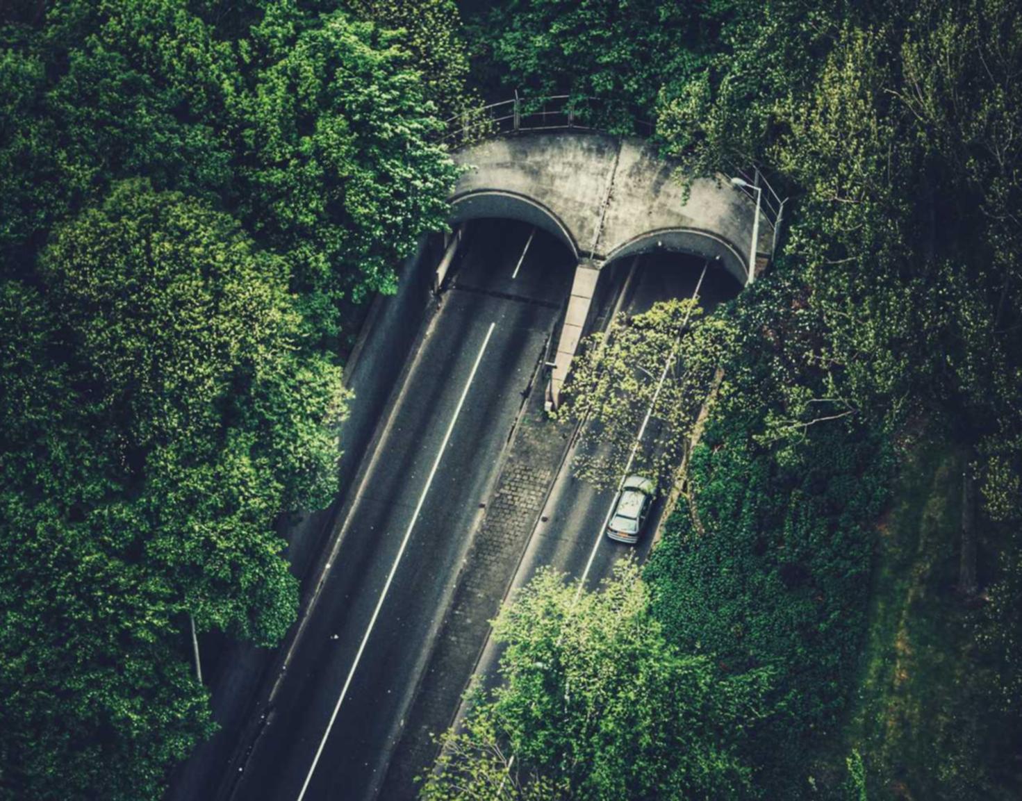 淘宝实名账号:苏州方便货运代理平台详情下载教程