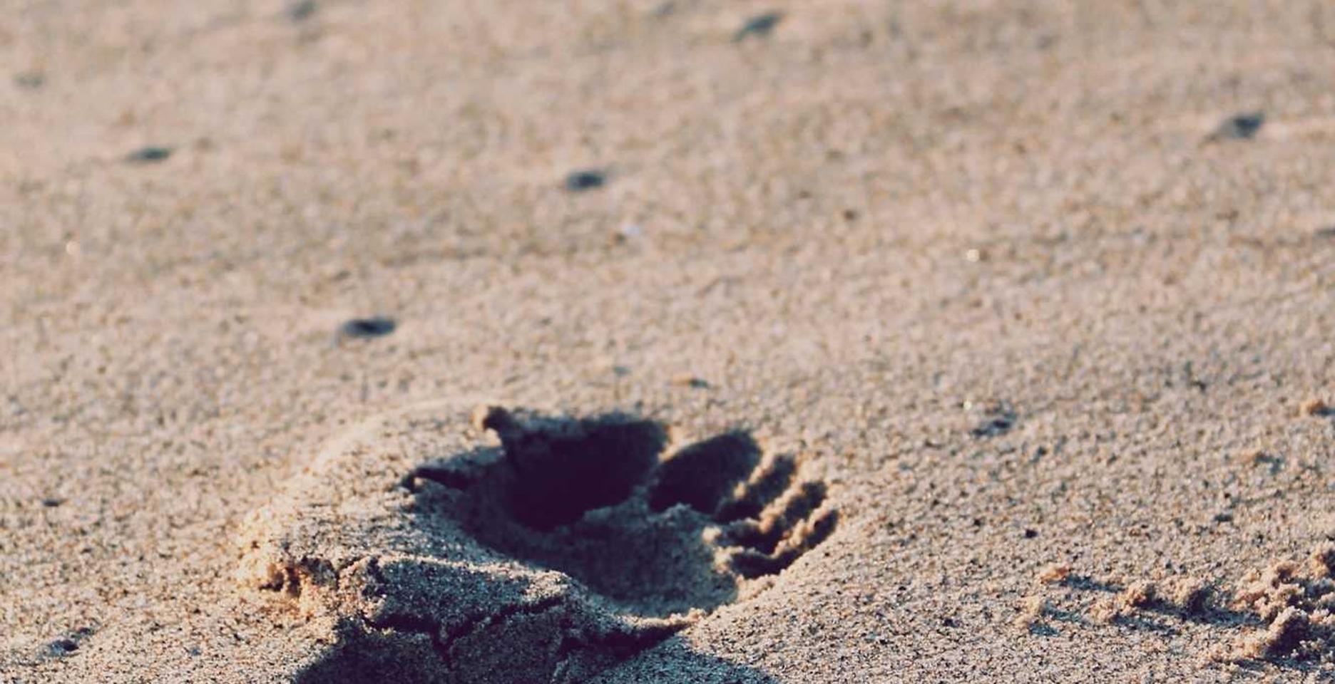 哪个平台购买隔离保险好