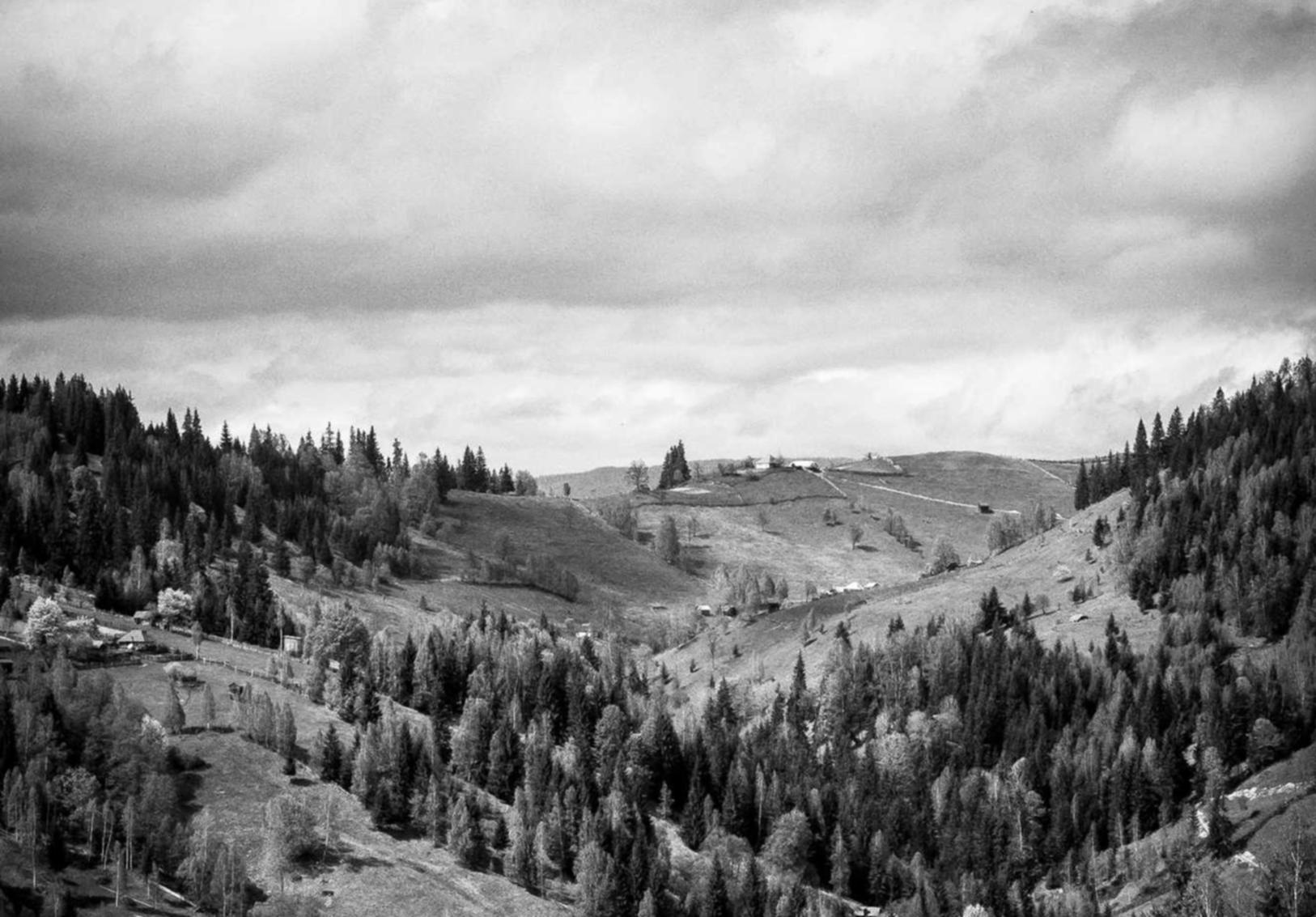 铁塔猫烟花芒果珠（细）：详情下载教程众泰app