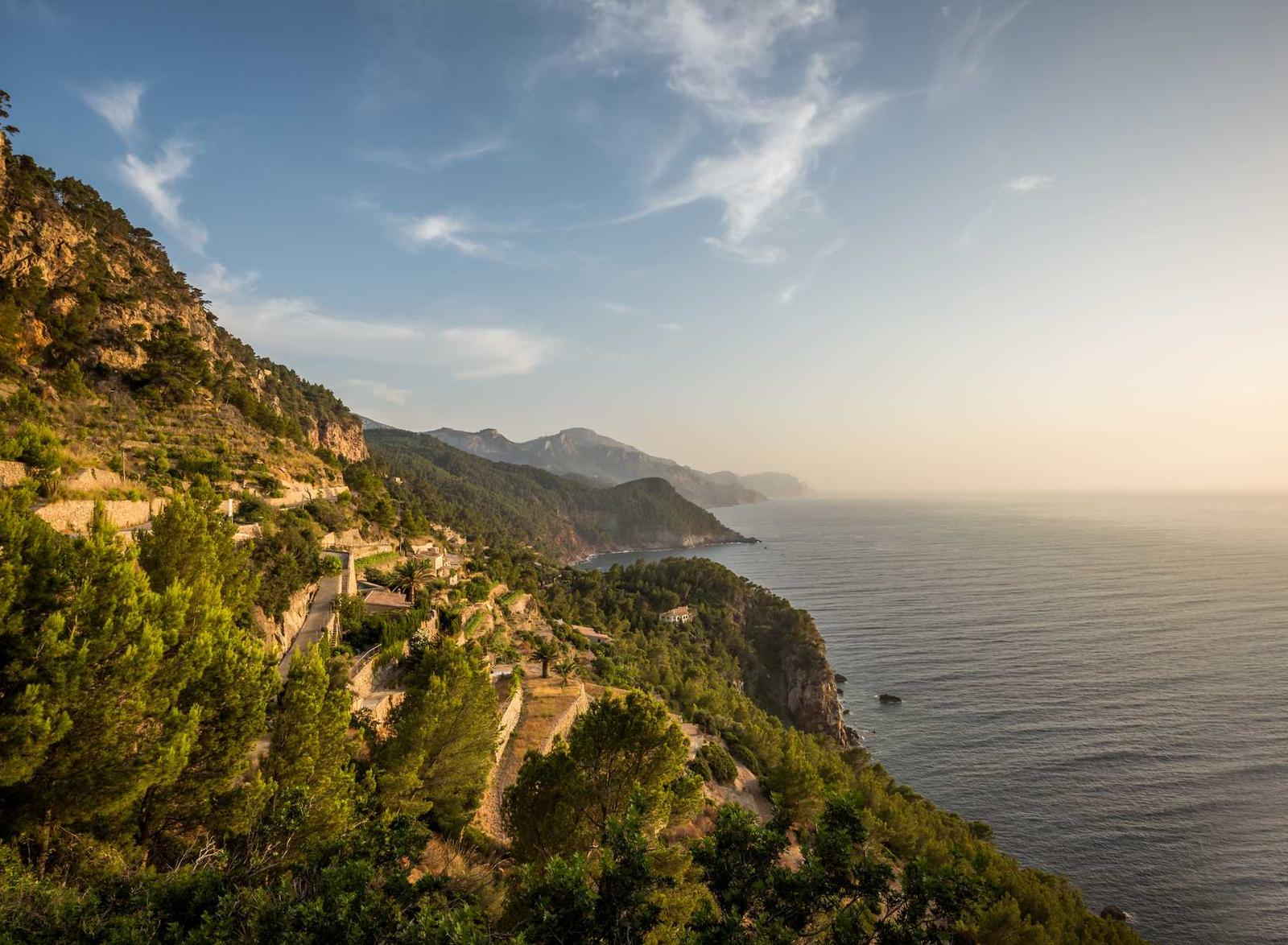 德州木箱购买平台
