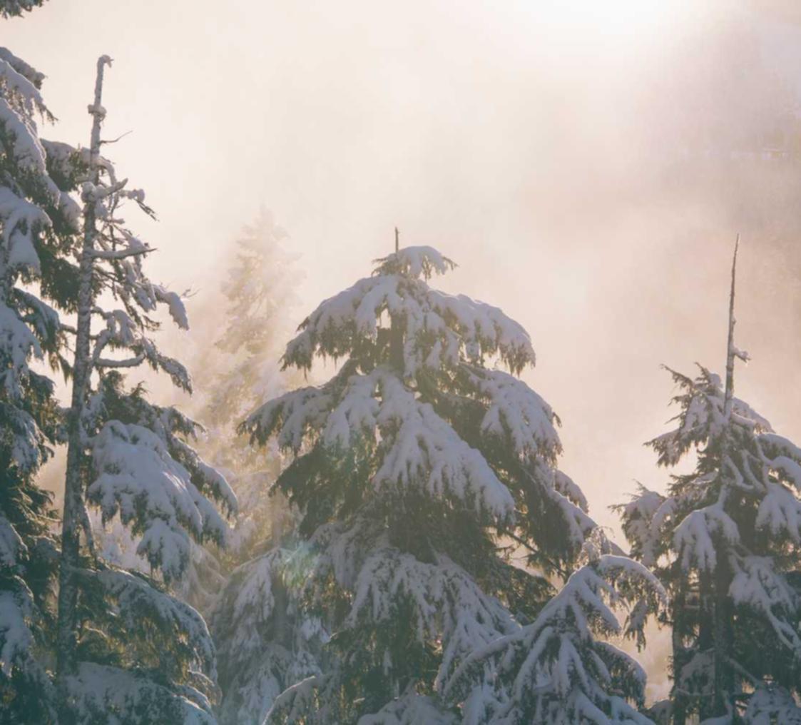 天九上海申请沃尔玛注册代理