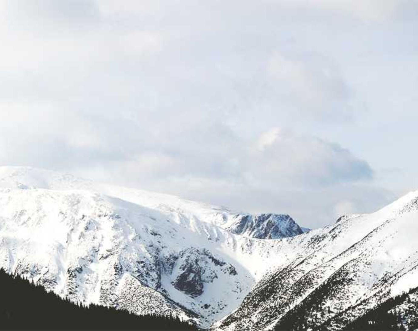 物语云实名账号：车机app详情下载教程