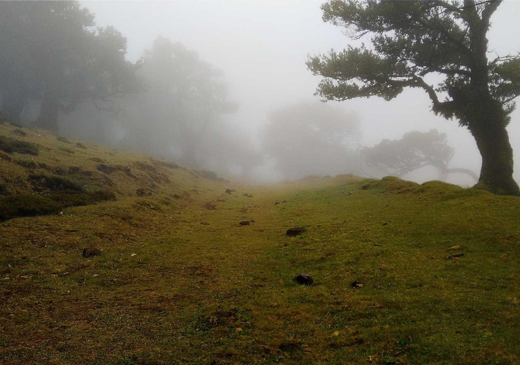 香烟打折的意义